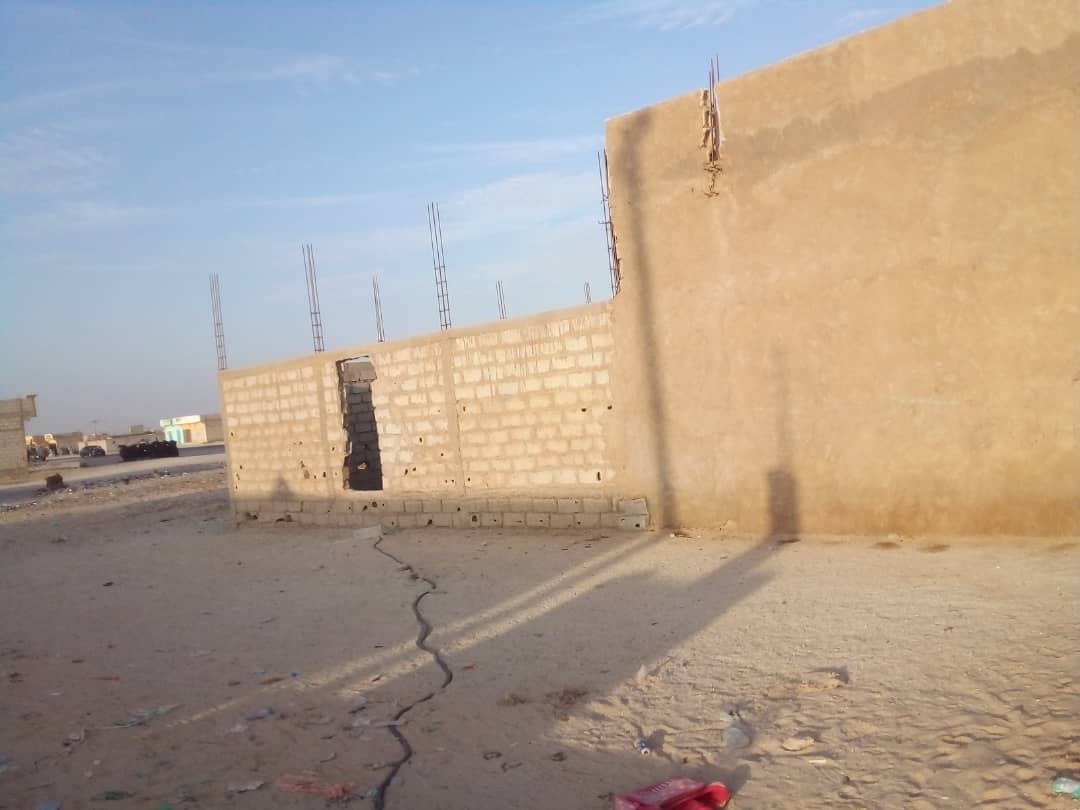 نيمرو للبيع - صورة 2