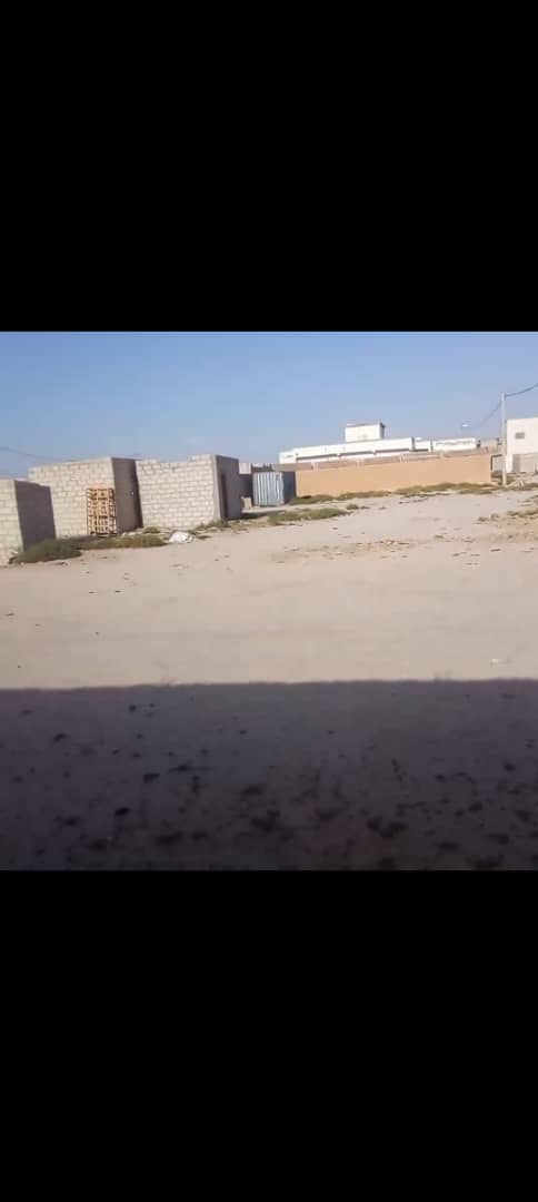 نيمرو للبيع